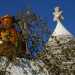 "3 stelle" - I trulli di Alberobello (foto di Nicola Velluso)